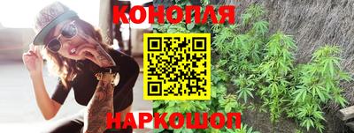 стаф Кандалакша