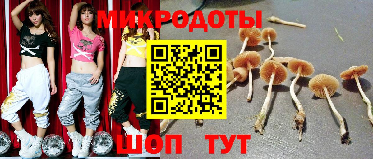Галлюциногенные грибы мицелий  Вход с VPN  Кунгур 