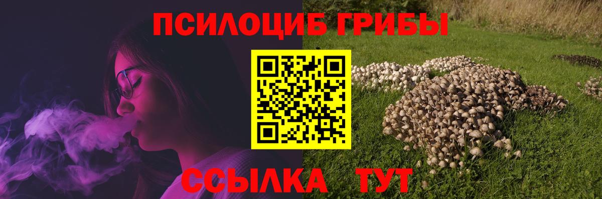 Псилоцибиновые грибы MAGIC MUSHROOMS Кунгур